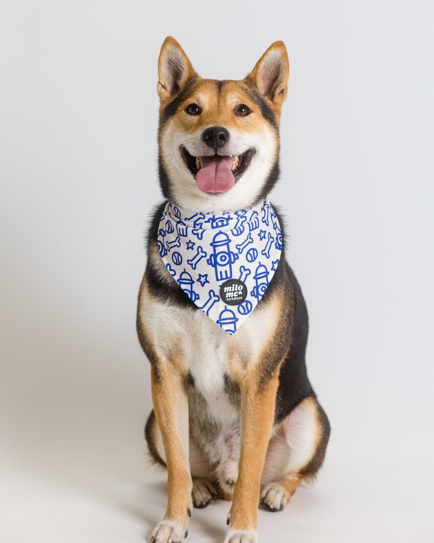 Bandana