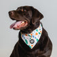 Bandana
