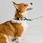 The Walkies Kit